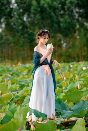 夏日荷塘古风美女人体艺术写真摄影图片